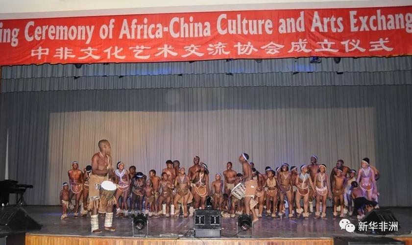 中非文化艺术交流协会在博茨瓦纳成立